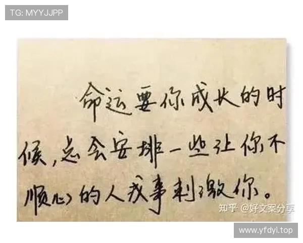 从学历低到商业巨头：一位企业家的奋斗与成功之路